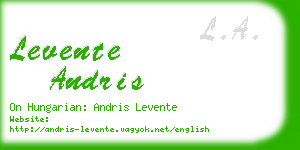 levente andris business card